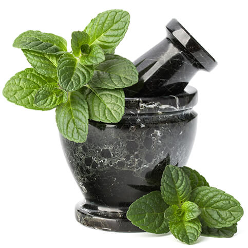 The Ultimate Herbal Experience